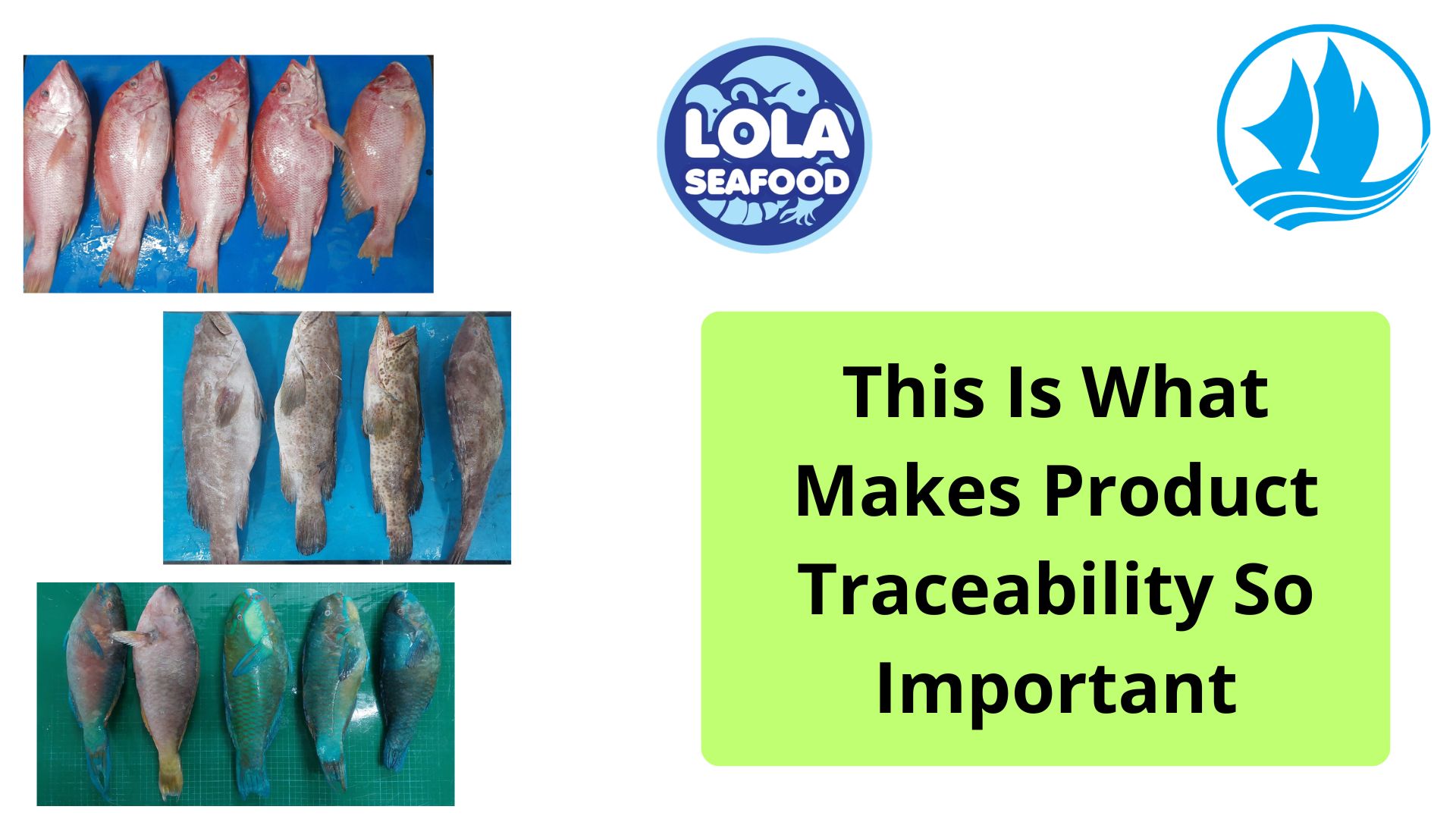 This Is What Makes Product Traceability So Important
